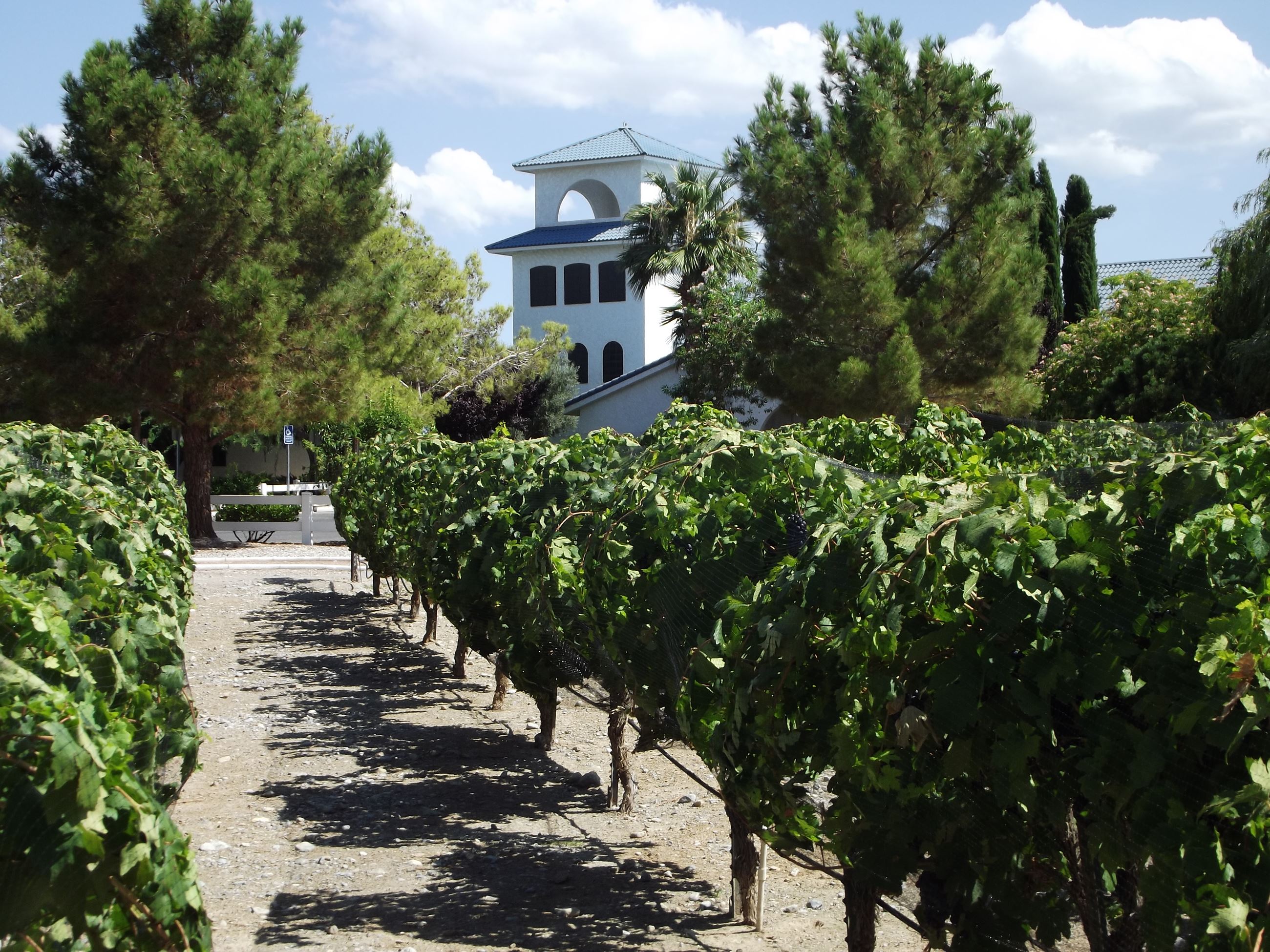 Pahrump Valley Winery