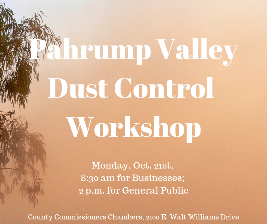 Dust Control Workshop flyer (png)