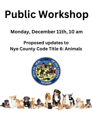 231128 News Workshop